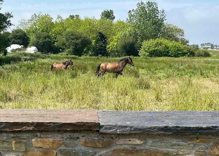 Vakantiehuis Casa El Reposo *